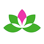 Yoga Studio